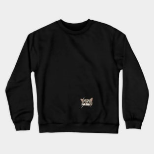 curious Crewneck Sweatshirt